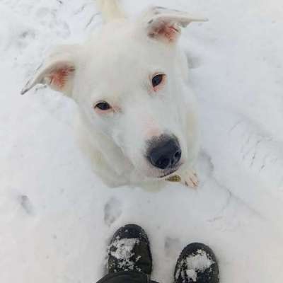 Was hat euch heute gefreut?-Beitrag-Bild