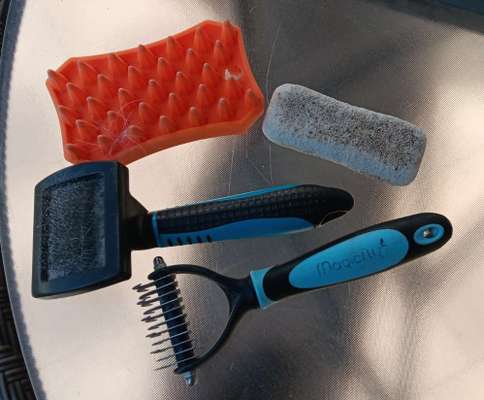 Tipps Hundebürste-Beitrag-Bild