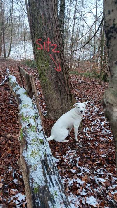 Die besten Gassifunde-Beitrag-Bild