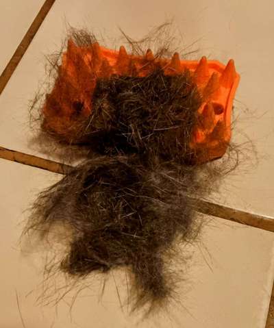 Was hat euch heute gefreut?-Beitrag-Bild