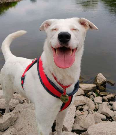 Was hat euch heute gefreut?-Beitrag-Bild