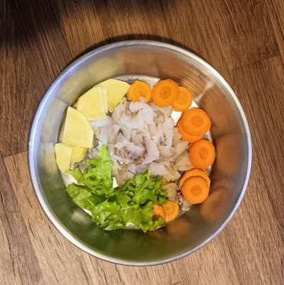 Zeigt her Eure Futternäpfe-Beitrag-Bild