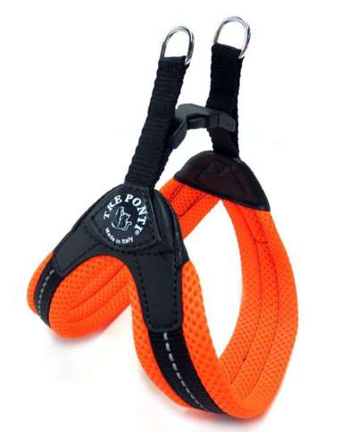 Erfahrungen mit Step-in-Geschirr-Beitrag-Bild