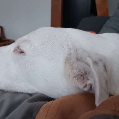 Was hat euch heute gefreut?-Beitrag-Bild