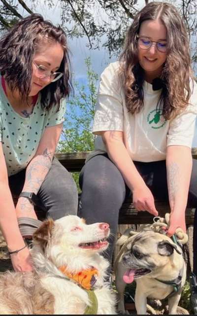 Qualzucht - Warum Aufklärung alleine nicht reicht-Beitrag-Bild