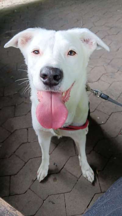 Freddys Kummerkasten-Beitrag-Bild