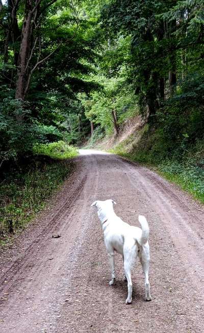 Was hat euch heute gefreut?-Beitrag-Bild