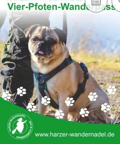 Qualzucht - Warum Aufklärung alleine nicht reicht-Beitrag-Bild