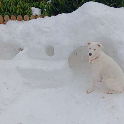 Was hat euch heute gefreut?-Beitrag-Bild