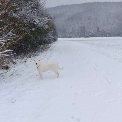 Was hat euch heute gefreut?-Beitrag-Bild