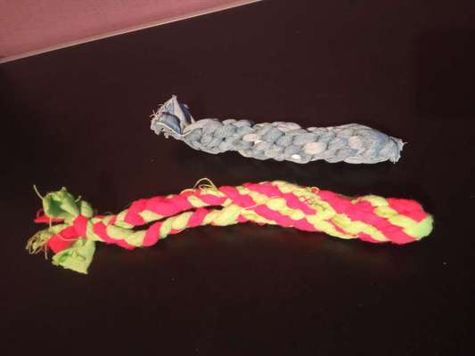 Hilfe! Mein Hund mag mich nicht!?-Beitrag-Bild