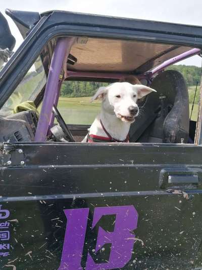 56. Handy Foto Challenge - Grosse Maschinen-Beitrag-Bild