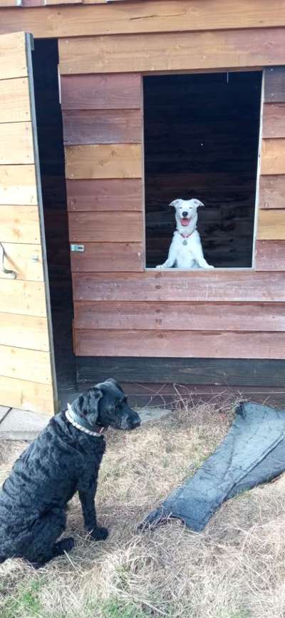 Was hat euch heute gefreut?-Beitrag-Bild