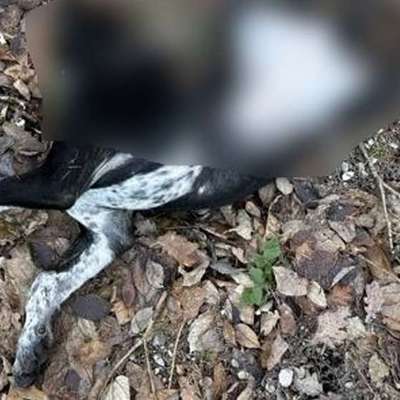 Was hat euch heute genervt?-Beitrag-Bild