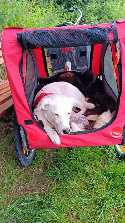 Was hat euch heute gefreut?-Beitrag-Bild