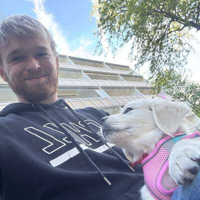 Hundetreffen-Welpentreffen-Profilbild