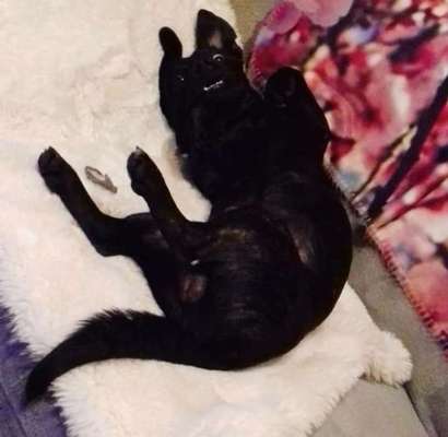 Lustige Grimassen & verrückte Posen-Beitrag-Bild