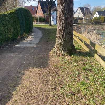 Giftköder-Weißes Pulver auf dem Boden-Bild