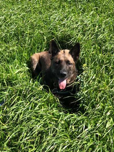 Fotowettbewerb Natur-Beitrag-Bild