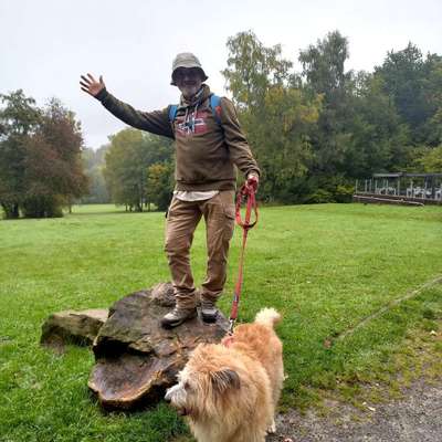 Hundetreffen-Wanderfreunde-Bild