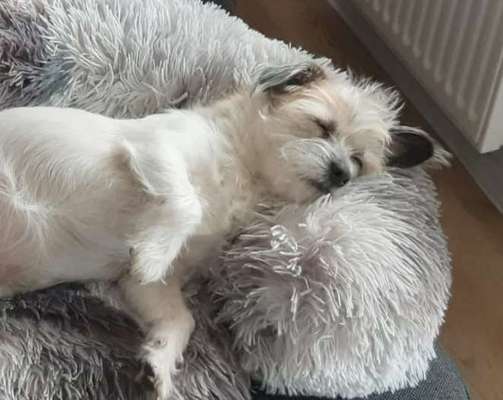 Fotochallange - Eingekugelt-Beitrag-Bild