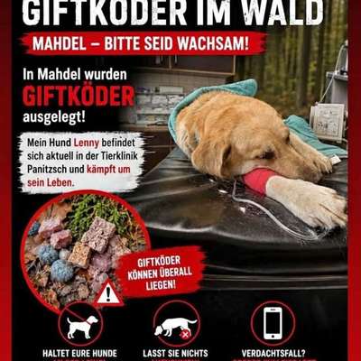 Giftköder-Giftkörder gesichtet-Bild
