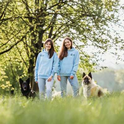 Hundeschulen-Die Funkenhunde-Bild
