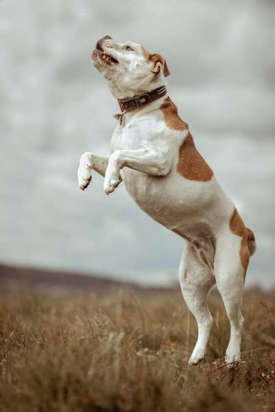 Lieblingsbild :D-Beitrag-Bild