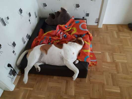 Die unbequemsten und lustigsten Schlafpositionen-Beitrag-Bild