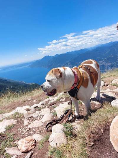 Fotochallenge Nr.100 Urlaubsimpressionen-Beitrag-Bild