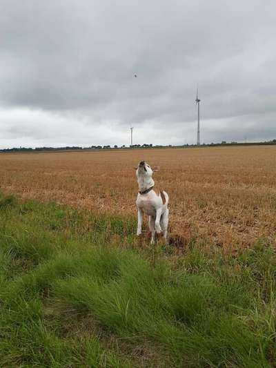 Fotochallenge Nr. 52 „Spring!“-Beitrag-Bild