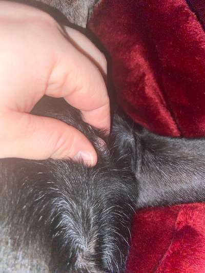 Schwellung verändert sich ständig-Beitrag-Bild