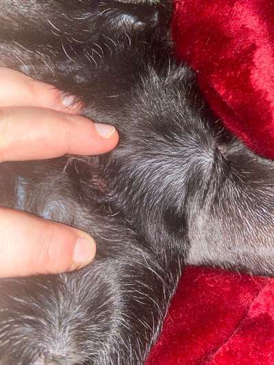 Schwellung verändert sich ständig-Beitrag-Bild