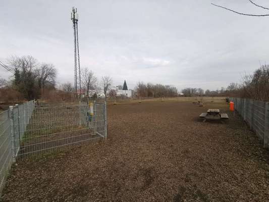 Hundeauslaufgebiet-Hundezone Ebreichsdorf-Bild