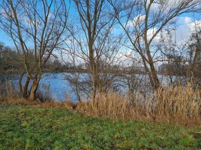 Hundeauslaufgebiet-Maudacher Bruch-Bild