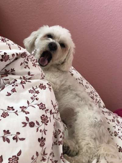 "Die eingefangene Magie des Augenblicks"-Beitrag-Bild