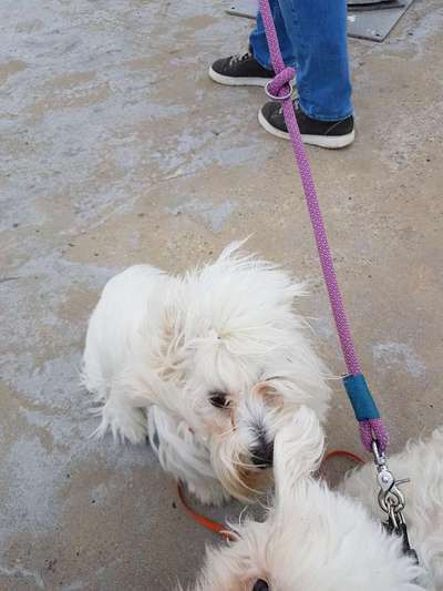 "Die eingefangene Magie des Augenblicks"-Beitrag-Bild