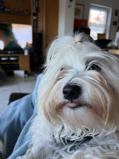 "Die eingefangene Magie des Augenblicks"-Beitrag-Bild