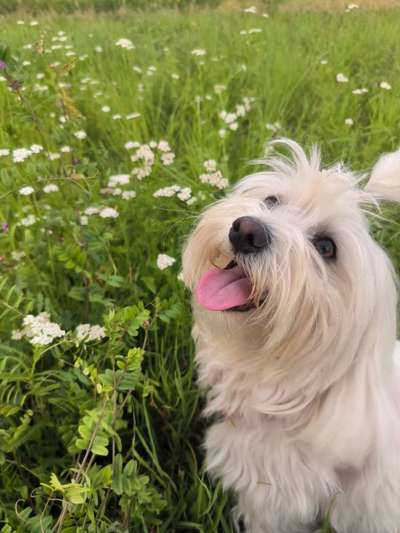 Doppelgänger gesucht !-Beitrag-Bild