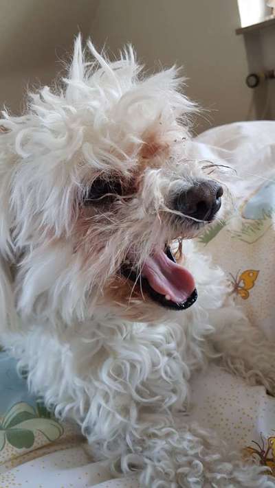 "Die eingefangene Magie des Augenblicks"-Beitrag-Bild