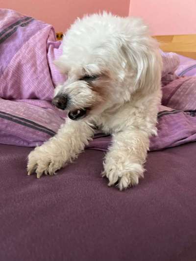 "Die eingefangene Magie des Augenblicks"-Beitrag-Bild