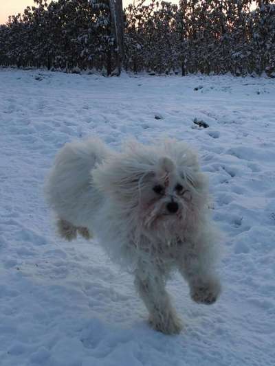 "Die eingefangene Magie des Augenblicks"-Beitrag-Bild
