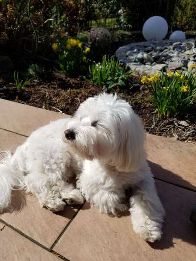 Fotochallenge Nr. 126-Beitrag-Bild