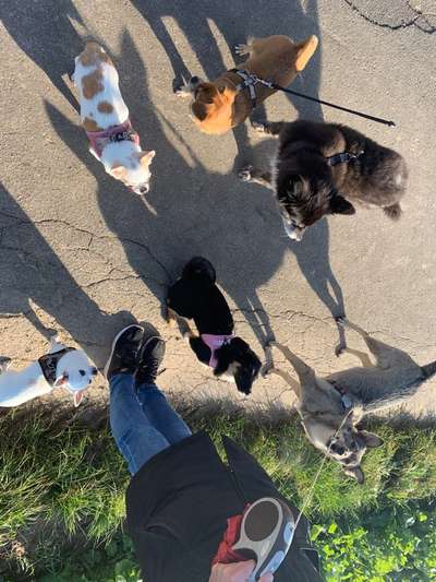 Fotochallenge 69-Beitrag-Bild