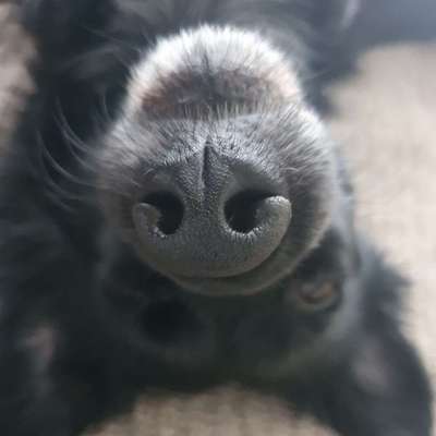 Andrea's Profilbild