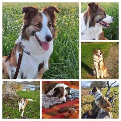 23. Collagen-Challenge: Portraits-Beitrag-Bild