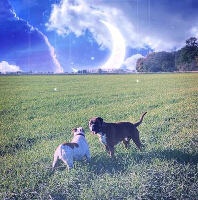 Photoshop und Co.-Beitrag-Bild