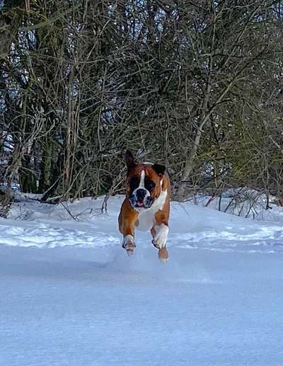 14. Farbenfoto-Challenge "Weiss"-Beitrag-Bild