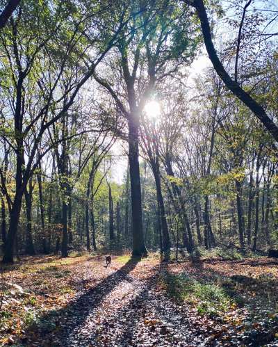 Photoshop und Co.-Beitrag-Bild