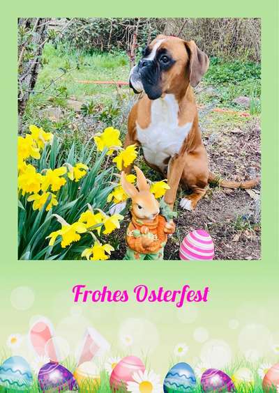 8. Collagen Challenge - Feste/Feierlichkeiten-Beitrag-Bild